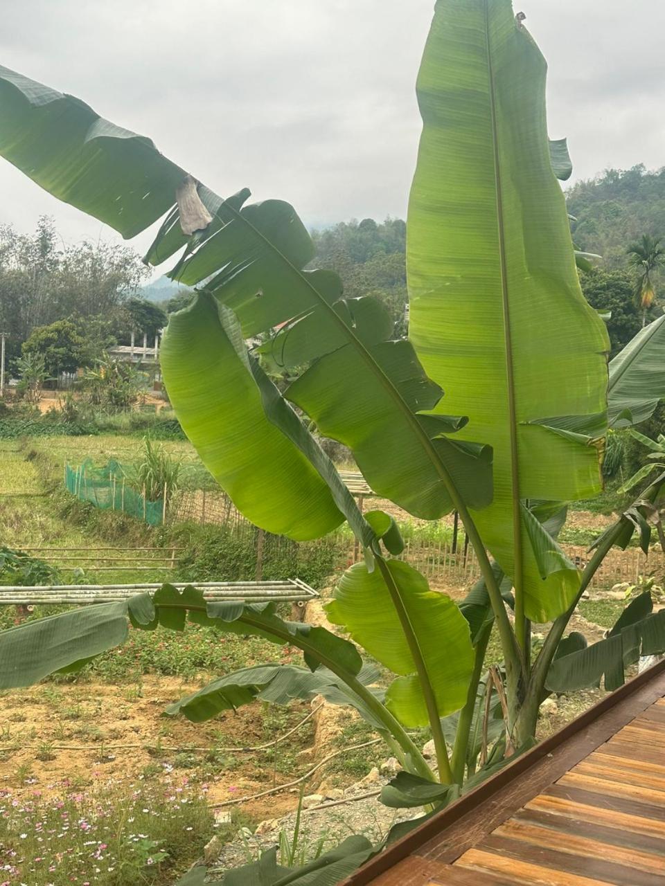 Peaceful Maichau Homestay Mai Châu Bagian luar foto