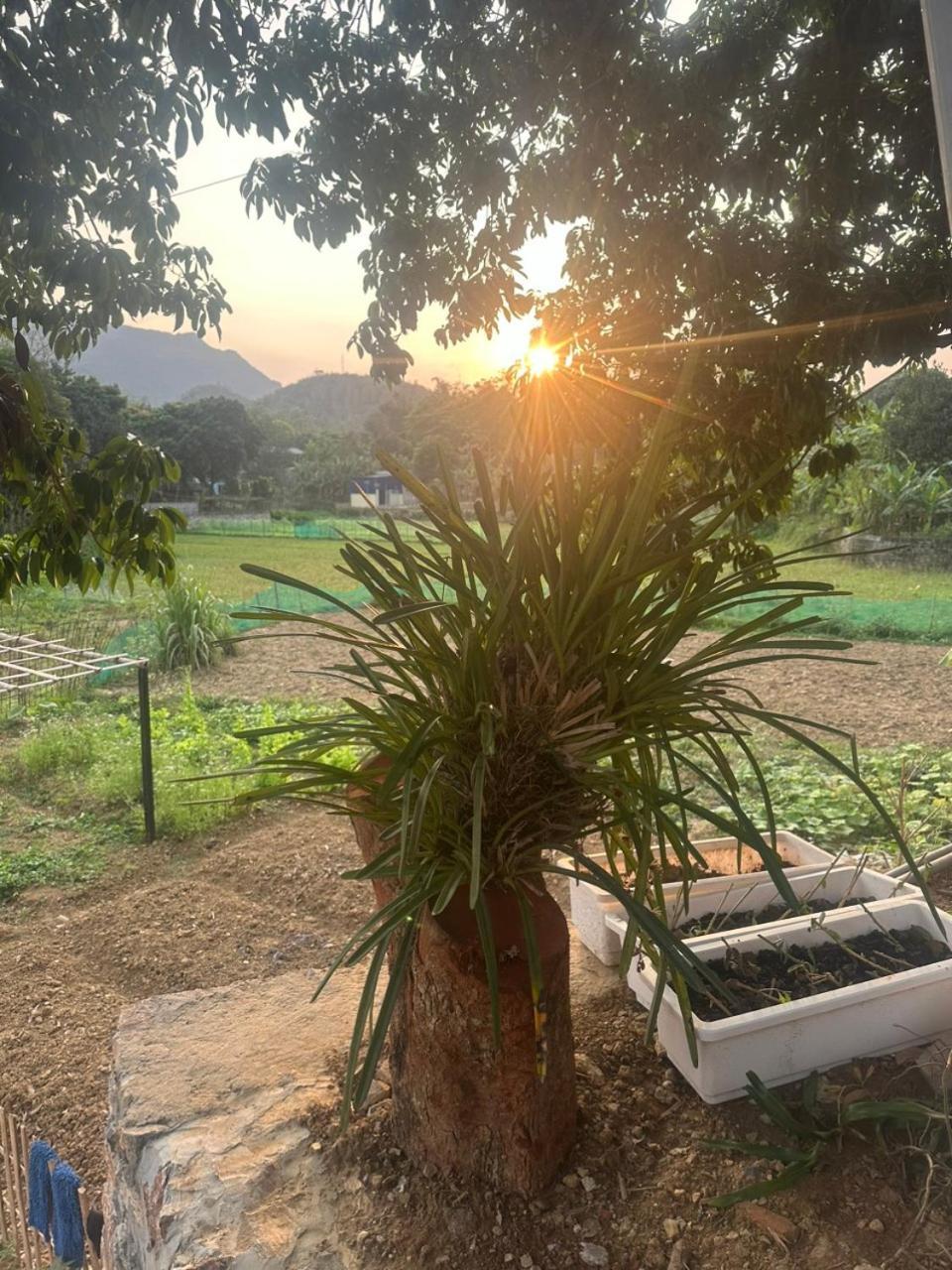 Peaceful Maichau Homestay Mai Châu Bagian luar foto